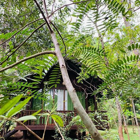 Coconut Tree House Hotel Udawalawe Exterior photo