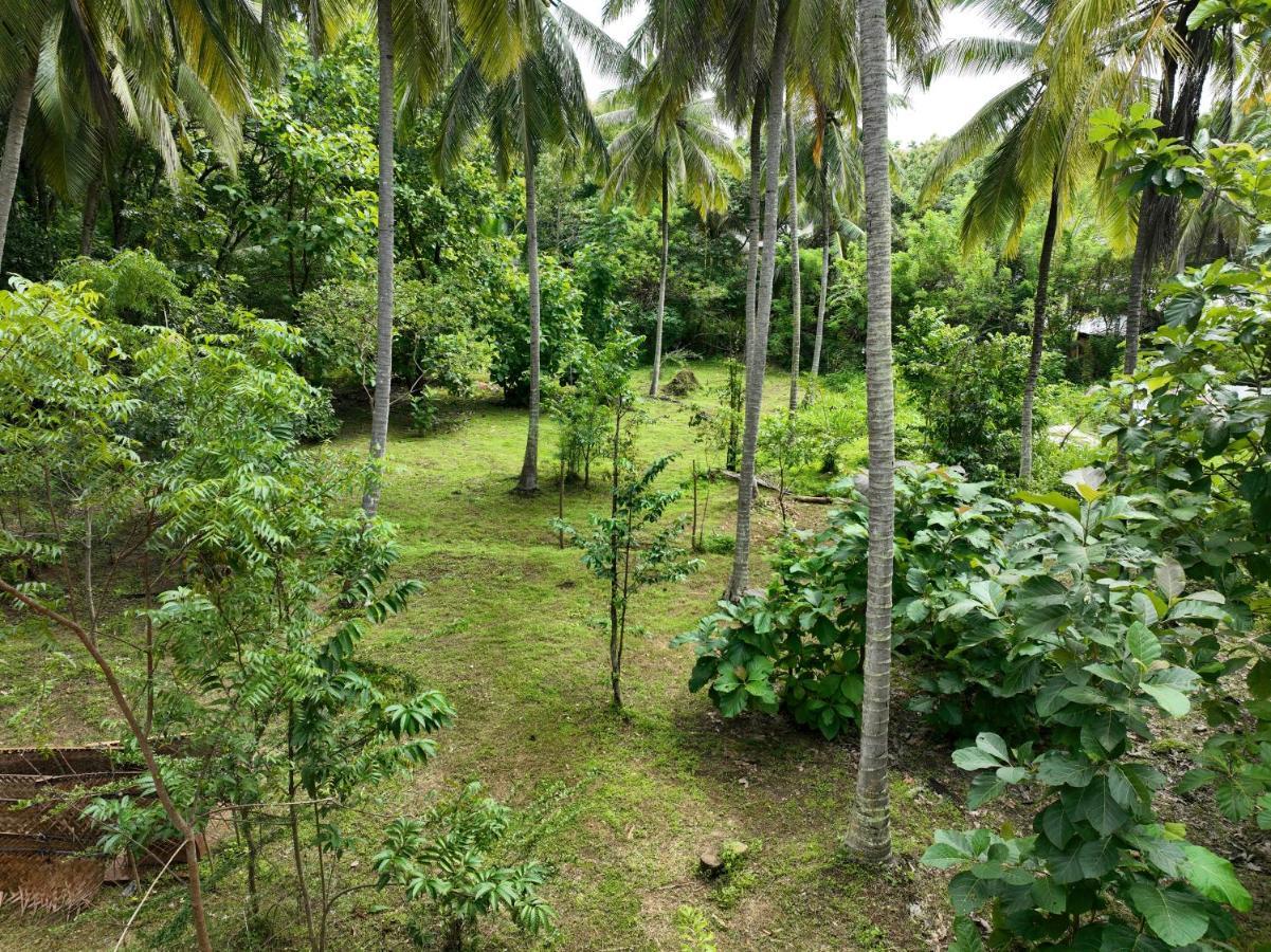 Coconut Tree House Hotel Udawalawe Exterior photo