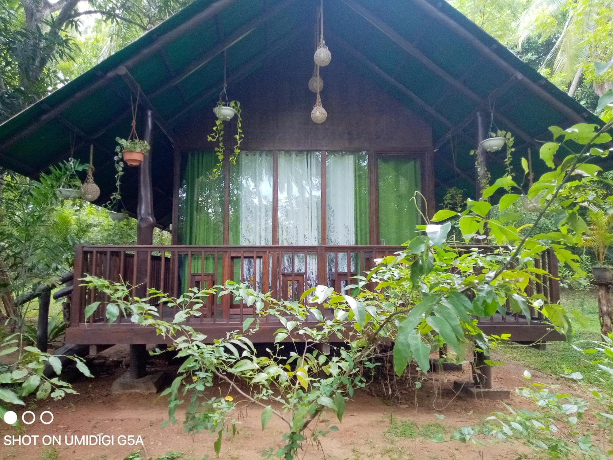 Coconut Tree House Hotel Udawalawe Exterior photo